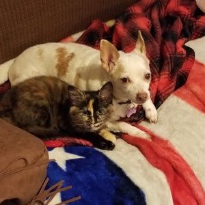 Meet your Posher, Rachel